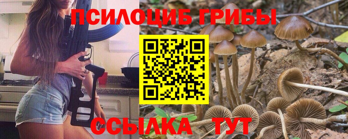 Кузнецк  LSD-25  ТГК  Вход с VPN  Меф МЯУ МЯУ   Кокаин  Марихуана  Гашиш 