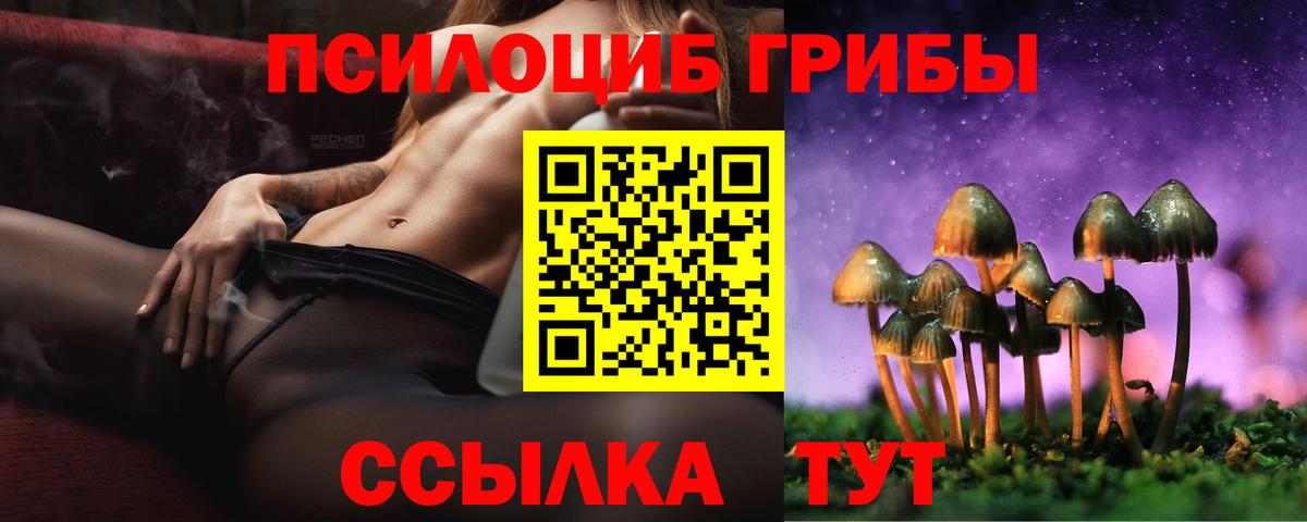 Псилоцибиновые грибы Psilocybe  Вход с VPN  продажа наркотиков  Кузнецк 