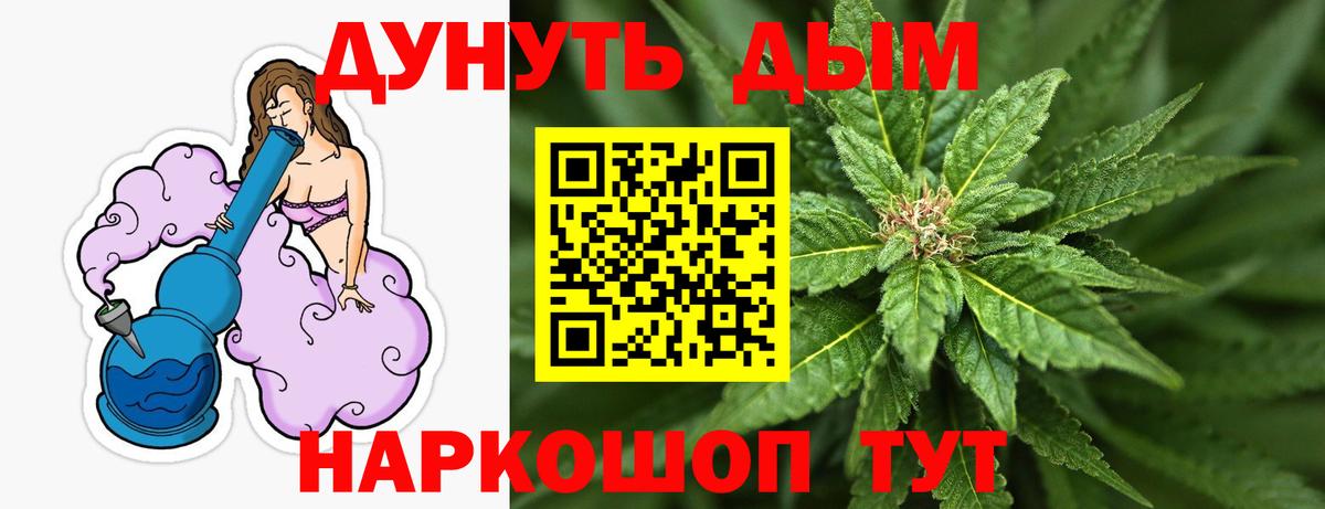 Конопля гибрид  Вход с VPN  Бошки марихуана план  Каннабис ГИДРОПОН  Кузнецк 